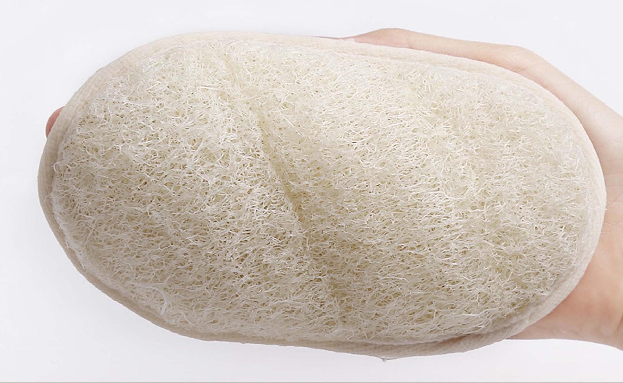 Natural Loofah Scrub