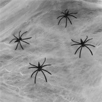 Halloween Spider Web