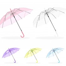 Transparent Canopy Straight Pole Umbrella