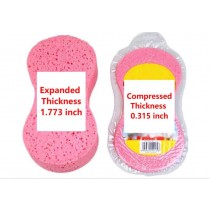 Multifunctional Sponge